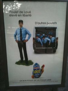 un-bon-poulet-est-un-poulet-libre-mais-que-fait-la-police-medium.jpg