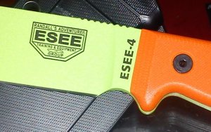 esee4zoom.jpg