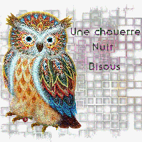 chouette-nuit-2.png