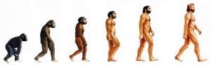 evolution_homme.jpg