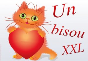 bisous-chat.jpg