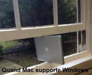 window.jpg