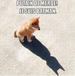 chienbatman.JPG