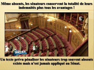 senat.jpg