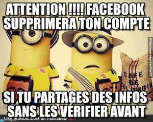 minions facebook.jpg