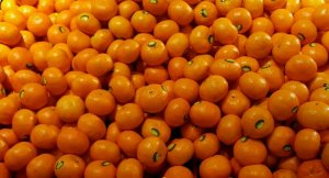 Satsumas.jpg