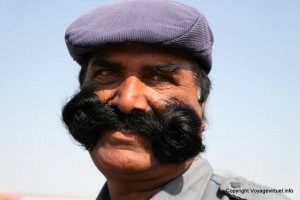 inde-moustache_1323.jpg