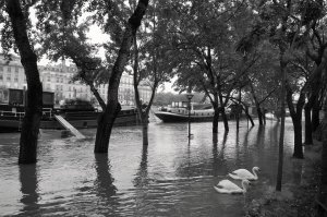 Paris sous l'eau.jpg