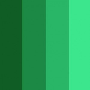 couleur-verte-300x300.jpg