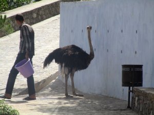 chaouen0010.jpg