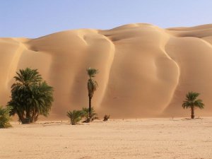 la-mauritanie.jpg