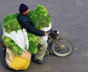 transport-marchandise-au-maroc.jpg