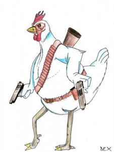 poule-combat.jpg