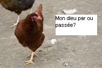 poule.jpg