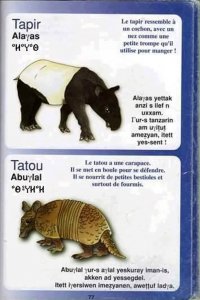 Tapir, Talou.jpg