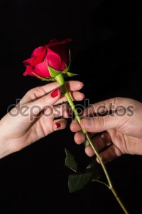 Bouibouicha m'offrant une petite rose rouge.jpg