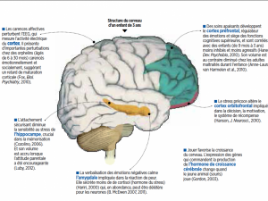 neurologie.png