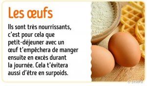 les oeufs.jpg