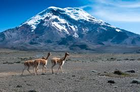 Chimborazo.jpg