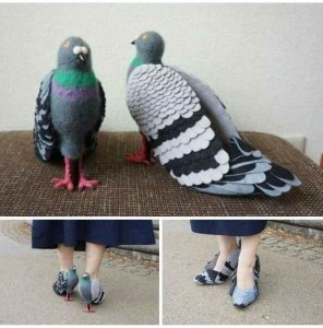 chaussure-pigeon.jpg