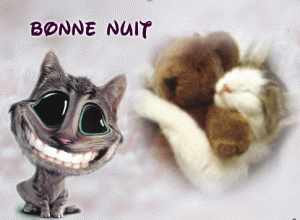 gif-bonne-nuit-167.gif