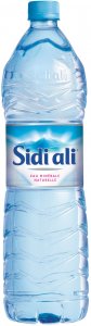 Sidi Ali.jpg