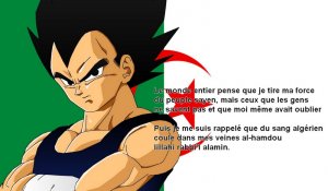 tmp_5633-1393616619-vegeta1583434629.jpg