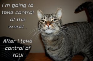 world_domination_cat_by_kravinmorhead.jpg