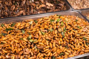 larves-frites-au-marché-de-nuit-de-la-thaïlande-31735009.jpg