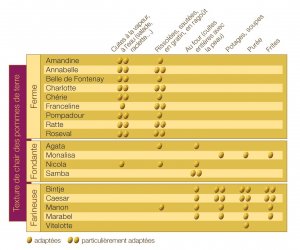 Tableau_variétés2.jpg