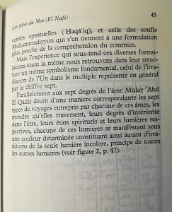 page 45.jpg