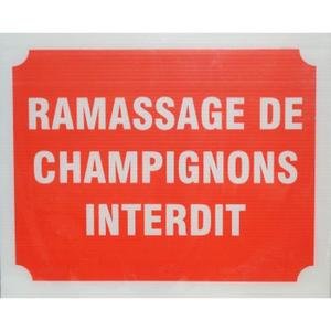 panneau-ramassage-de-champignons-interdit-x-3.jpg