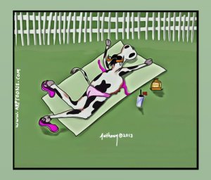 cow_tanning_2060915.jpg