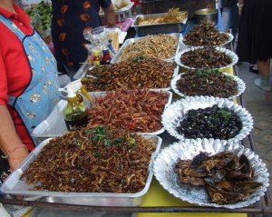 stand-de-vente-d-insectes-comestibles-en-thailand.jpg