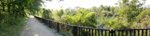 20160508_102942.jpg