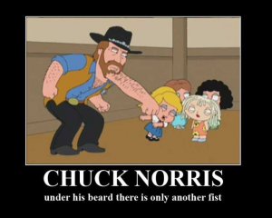 chuck-norris-fist.jpg