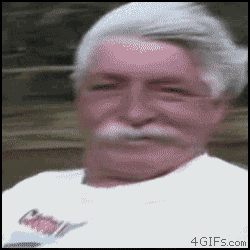 giphy (9).gif