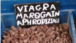 viagra.PNG