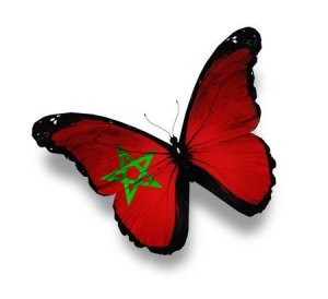 12676279-drapeau-marocain-papillon-isolé-sur-blanc.jpg