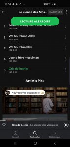 Screenshot_20191210-175439_Spotify.jpg