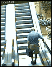 giphy (11).gif