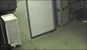 giphy (57).gif