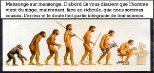 science-evolution-du-singe.jpg