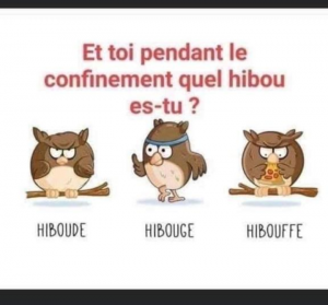 Hibou.png