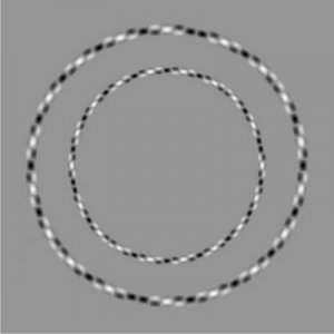 illusion-optique-cercle.jpg