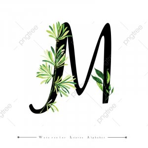 pngtree-letter-m-with-watercolor-leaves-background-png-image_3578646.jpg