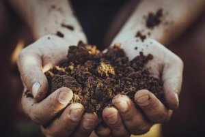 gardening_with_farmer_c_adobestock_by_mythja_189881139_preview.jpeg