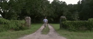 giphy (11).gif