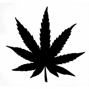 feuille-de-cannabis.jpg