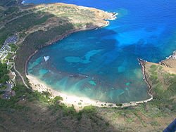 250px-Hanauma_Bay.jpeg